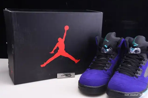 Hype LUCY Grape Jordan Alternate Retro 5 136027-500 Air 0227