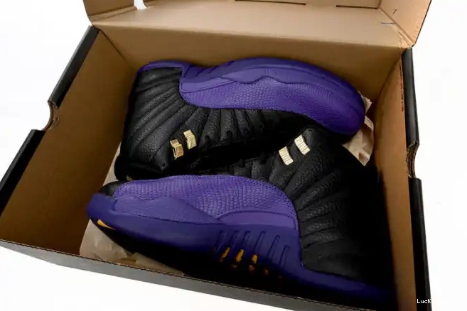 Rep LUCY Air Jordan 12 Purple Retro Field CT8013-057 0224