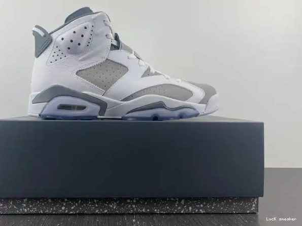 Rep LUCY CT8529-100 Grey Jordan Air 6 Cool 0224