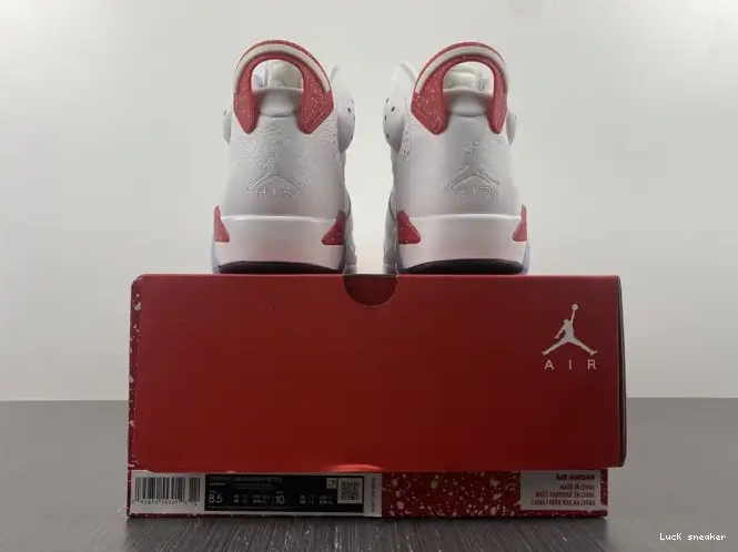 Reps LUCY 6 Hare CT8529-162 Jordan Retro 0208