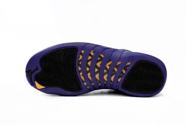 Rep LUCY Air Jordan 12 Purple Retro Field CT8013-057 0224